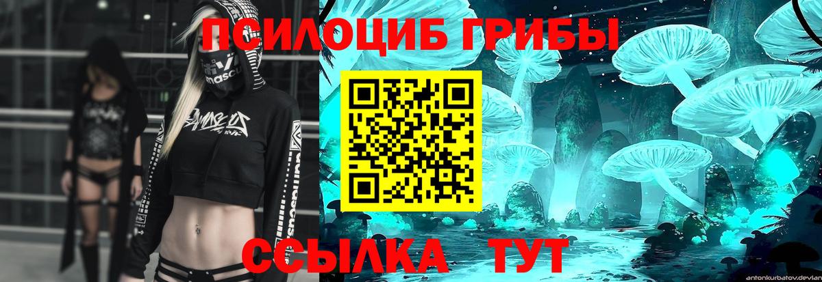 Галлюциногенные грибы MAGIC MUSHROOMS Гусиноозёрск