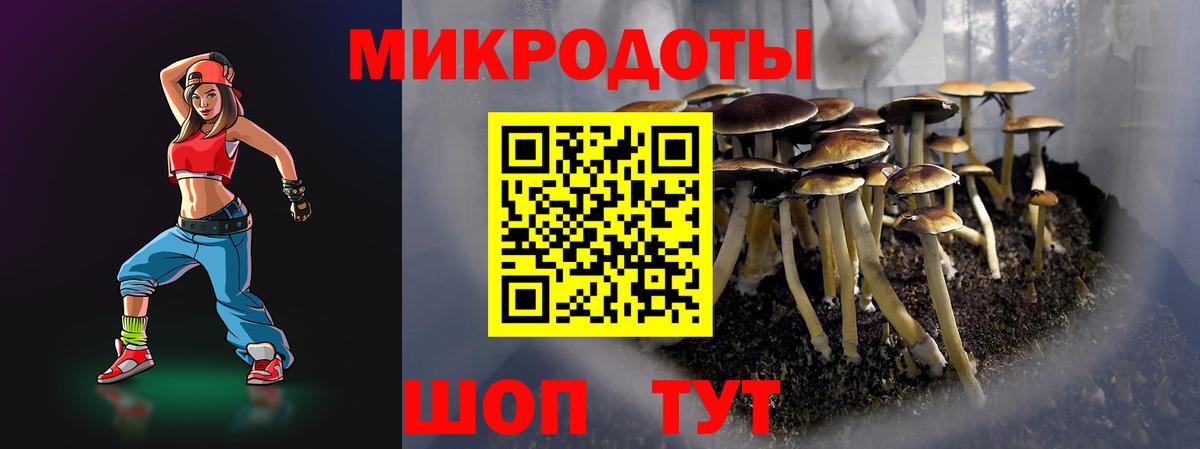 Галлюциногенные грибы прущие грибы  Вход с VPN  Гусиноозёрск 